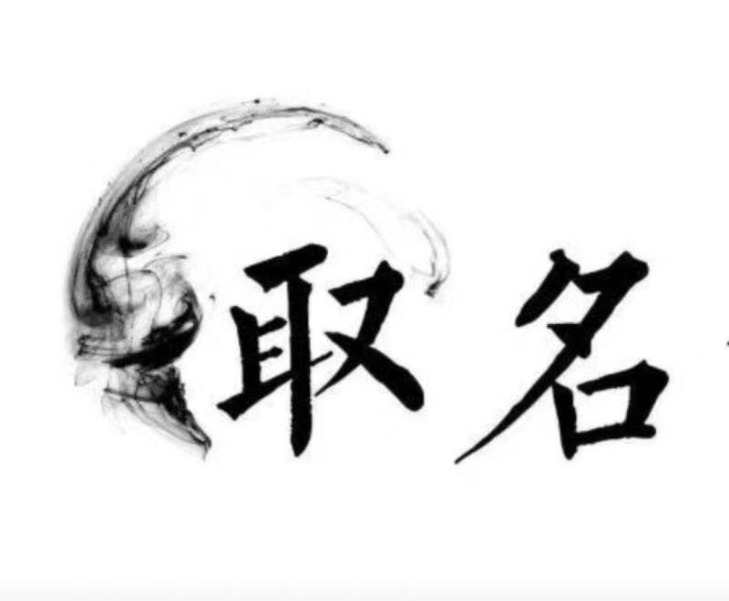  回民宝宝取名 大师一对一人工起名